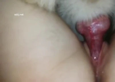충격!! 개와 떡치는 어린처자 4 국산야동 한국야동